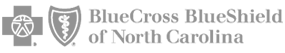Blue Cross Blue Shield